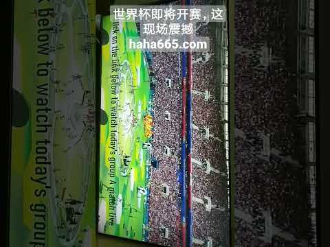 周二,亚冠焦点对,泰山对阵光,世界杯,世界杯赛程,世界杯结果,足球世界杯,世界杯历史,世界杯决赛,世界杯球队,世界杯赛场,世界杯明星,世界杯门票,世界杯直播,世界杯新闻