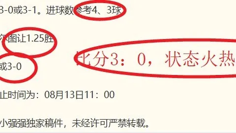 世界杯